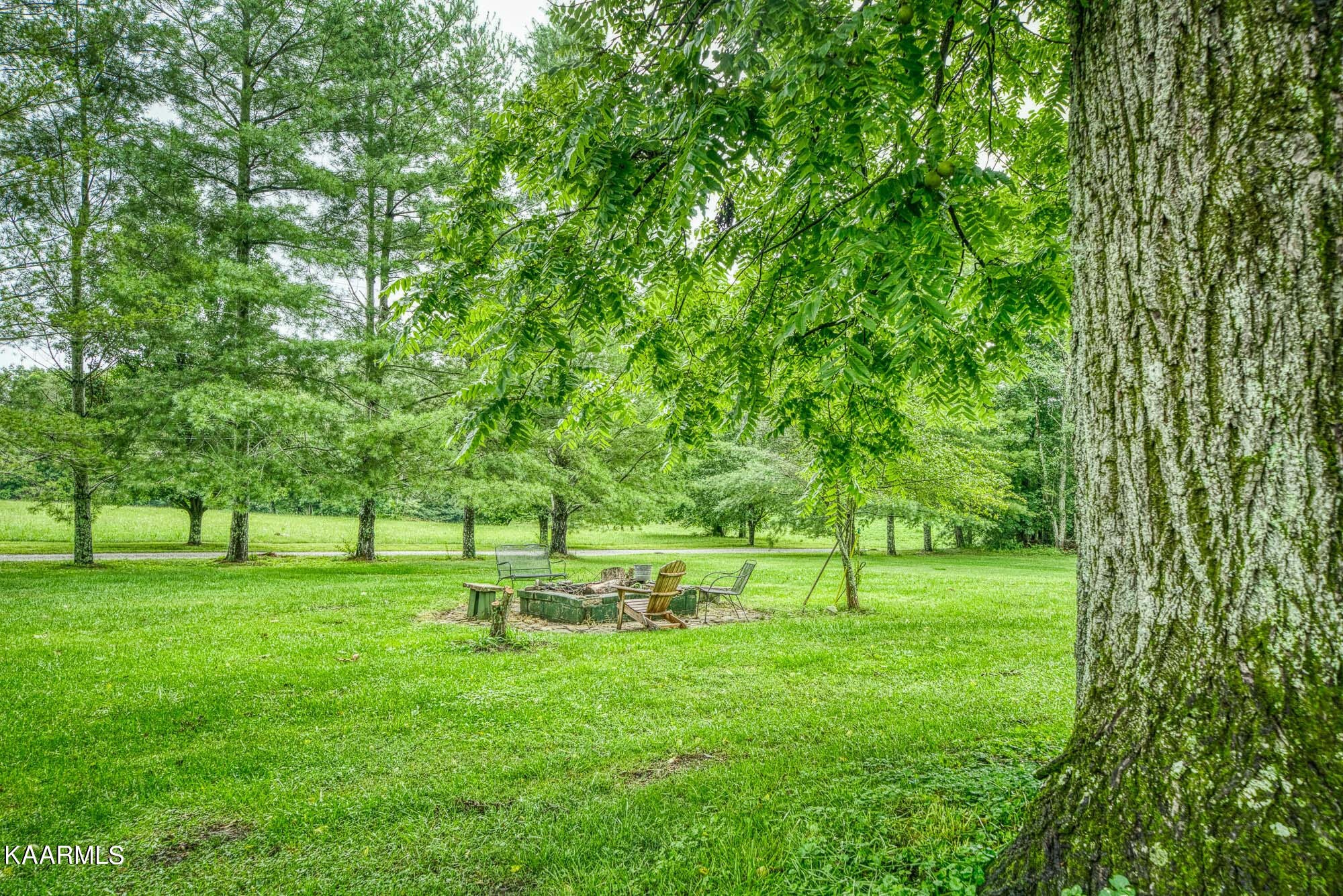 1360 Deep Draw Road Crossville, TN 38555 - Photo 31 of 40 a view of green field with trees in the background