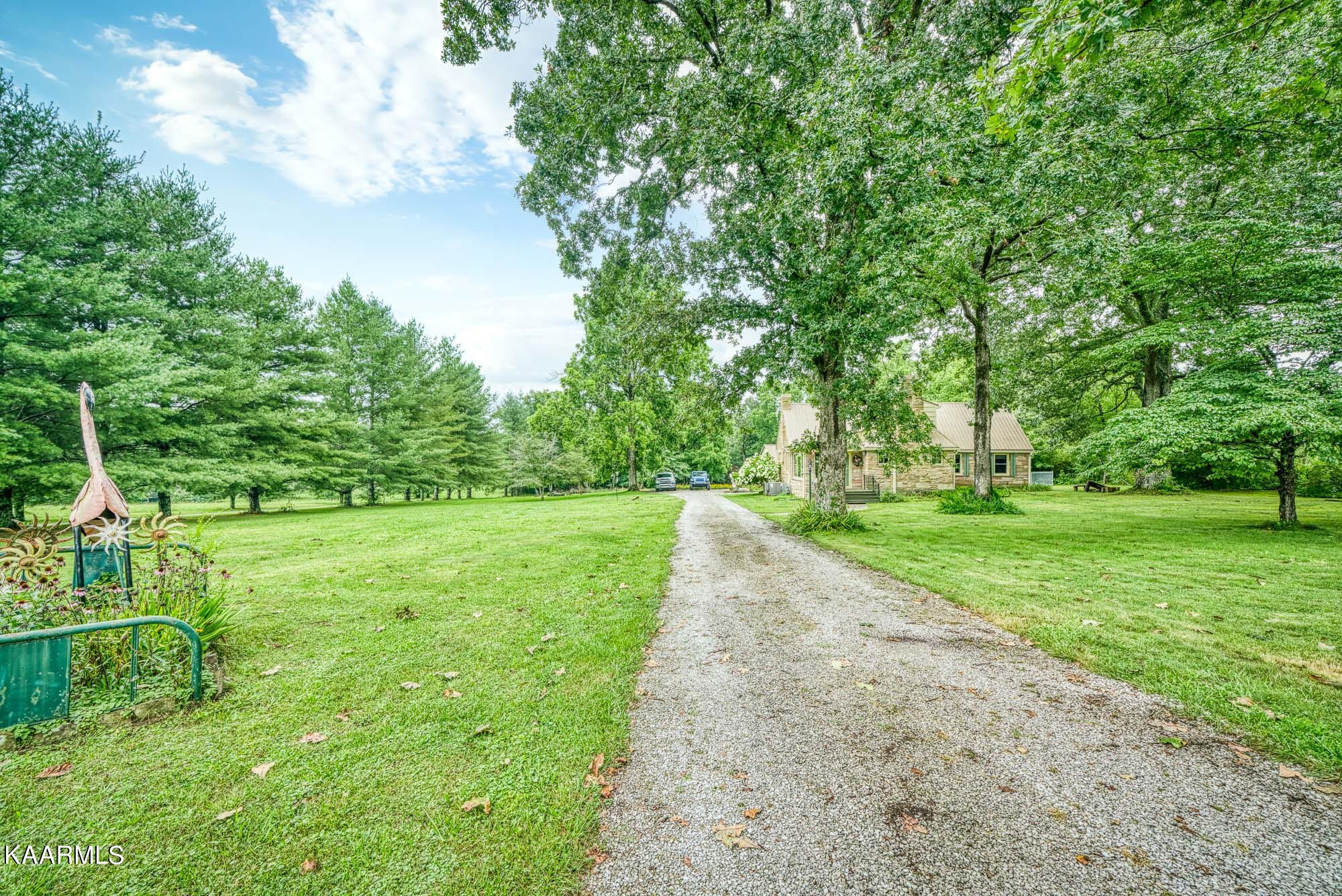 1360 Deep Draw Road Crossville, TN 38555 - Photo 33 of 40 a view of a park with large trees