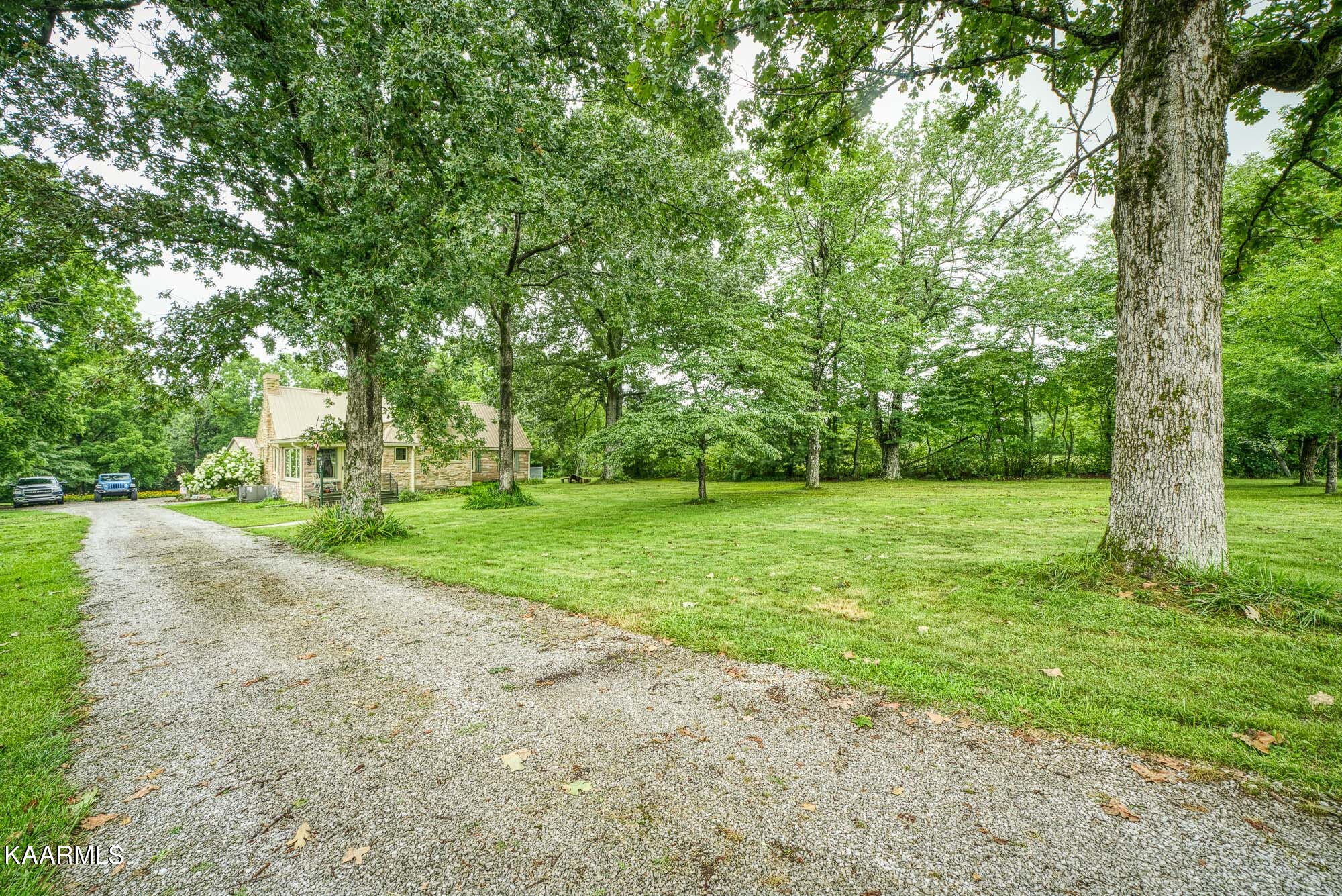 1360 Deep Draw Road Crossville, TN 38555 - Photo 34 of 40 a view of a park with large trees