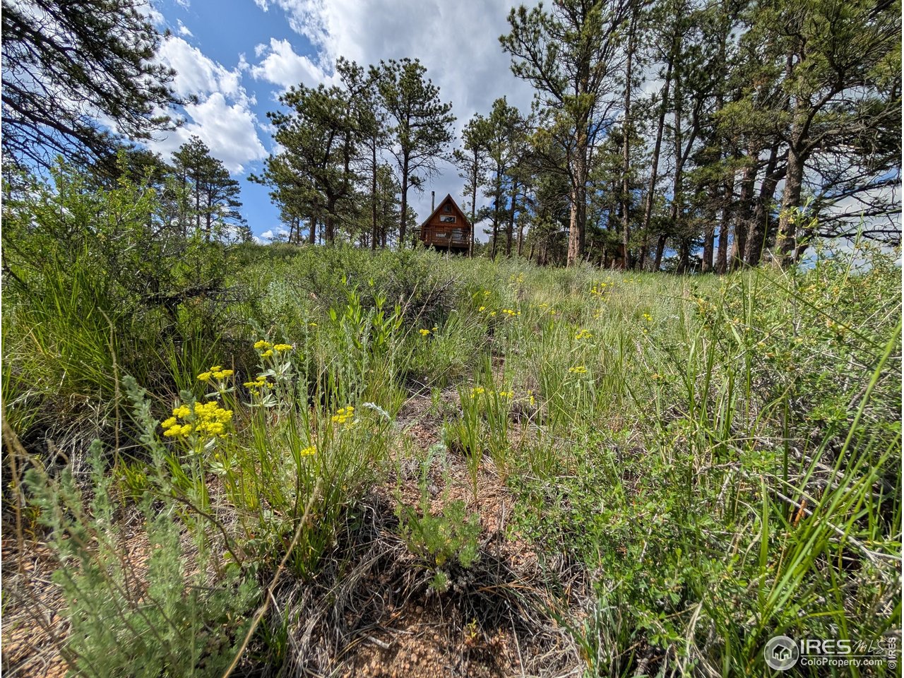 2898 Red Ashby Road Livermore, CO 80536 - Photo 1 of 29 Gallery Image 1