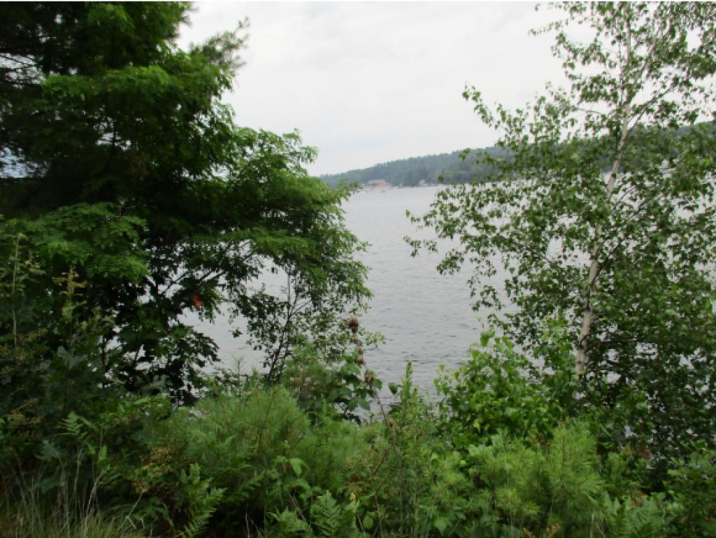 199 Hillcroft Road Laconia, NH 03246 - Photo 33 of 36 Gallery Image 33