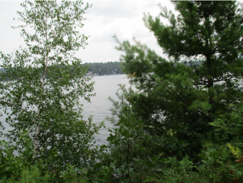 199 Hillcroft Road Laconia, NH 03246 - Photo 34 of 36 Gallery Image 34