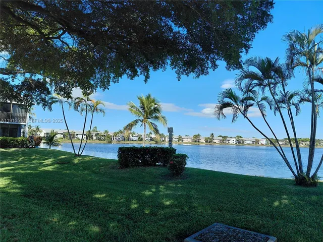 a view of yard with palm tree