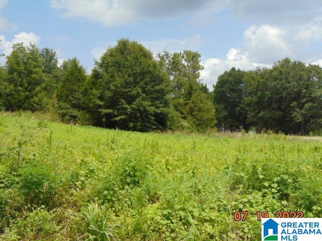 0 County Road 501 Verbena, AL 36091 - Photo 2 of 6