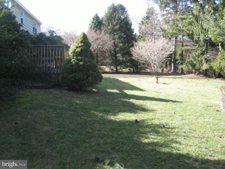 105 Wembley Road Wilmington, DE 19808 - Photo 25 of 25 Back Yard