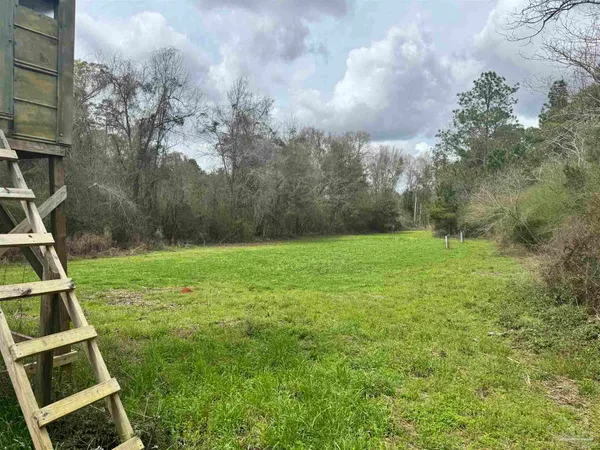 a view of yard with green space