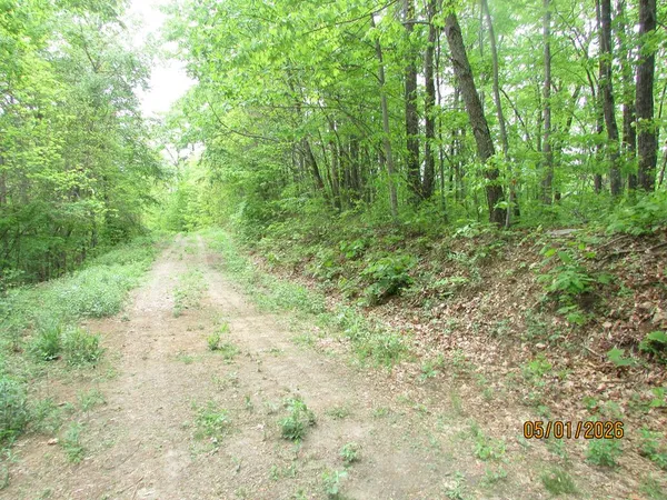 $79,900 | 0 Taylor Knob Drive, Hayesville, NC 28904