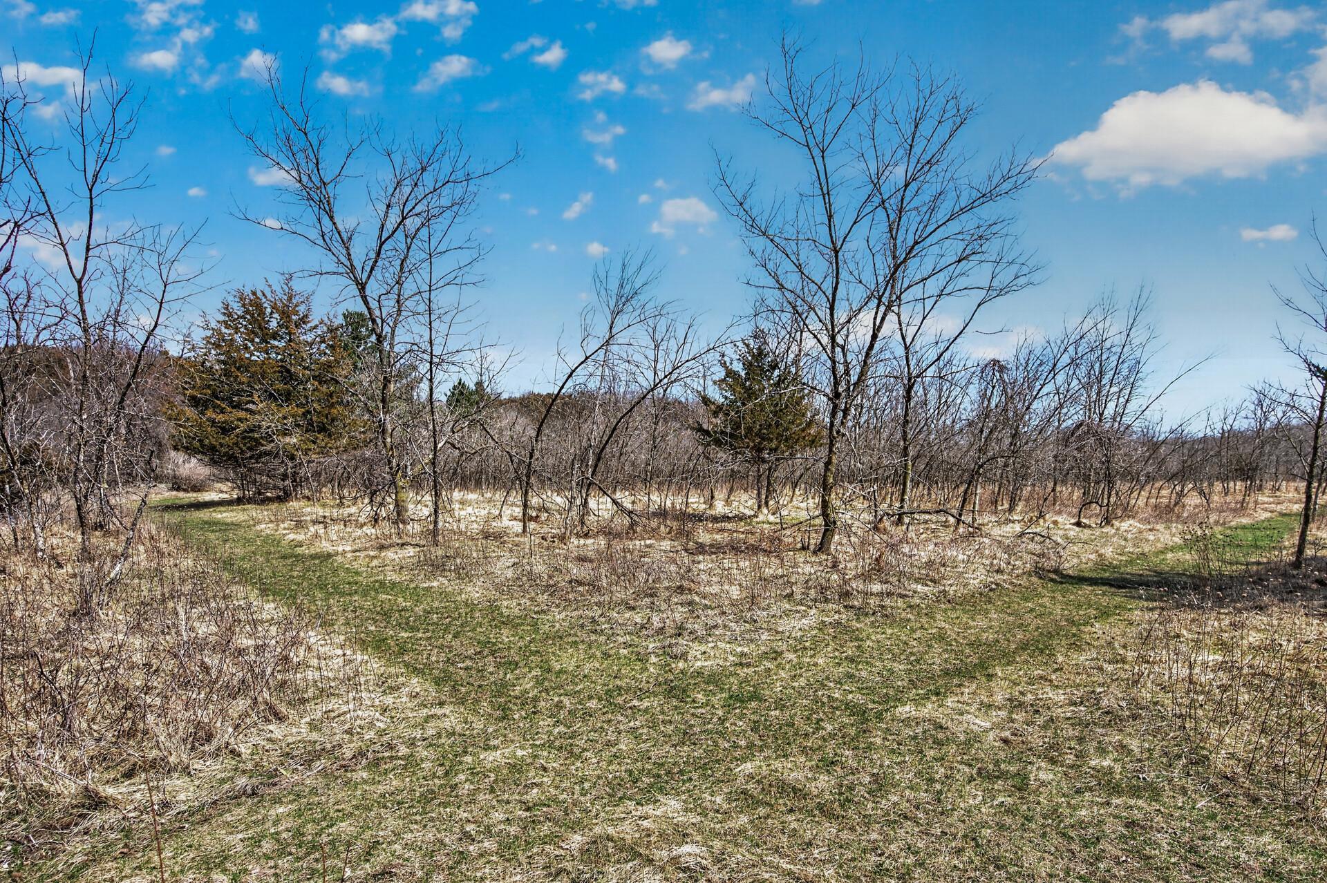 12484 Sunset Trail Welch, MN 55089 - Photo 11 of 48