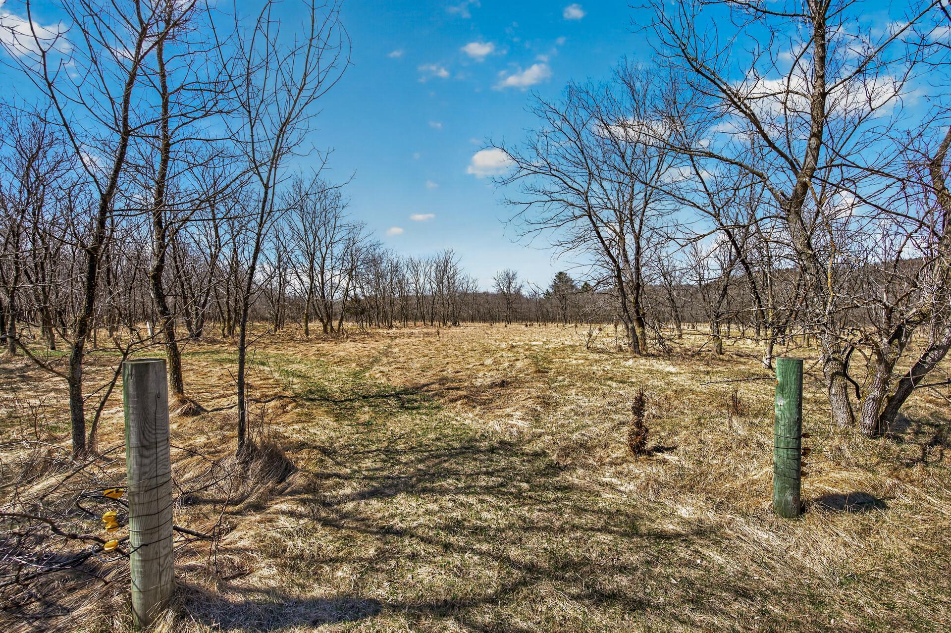 12484 Sunset Trail Welch, MN 55089 - Photo 26 of 48