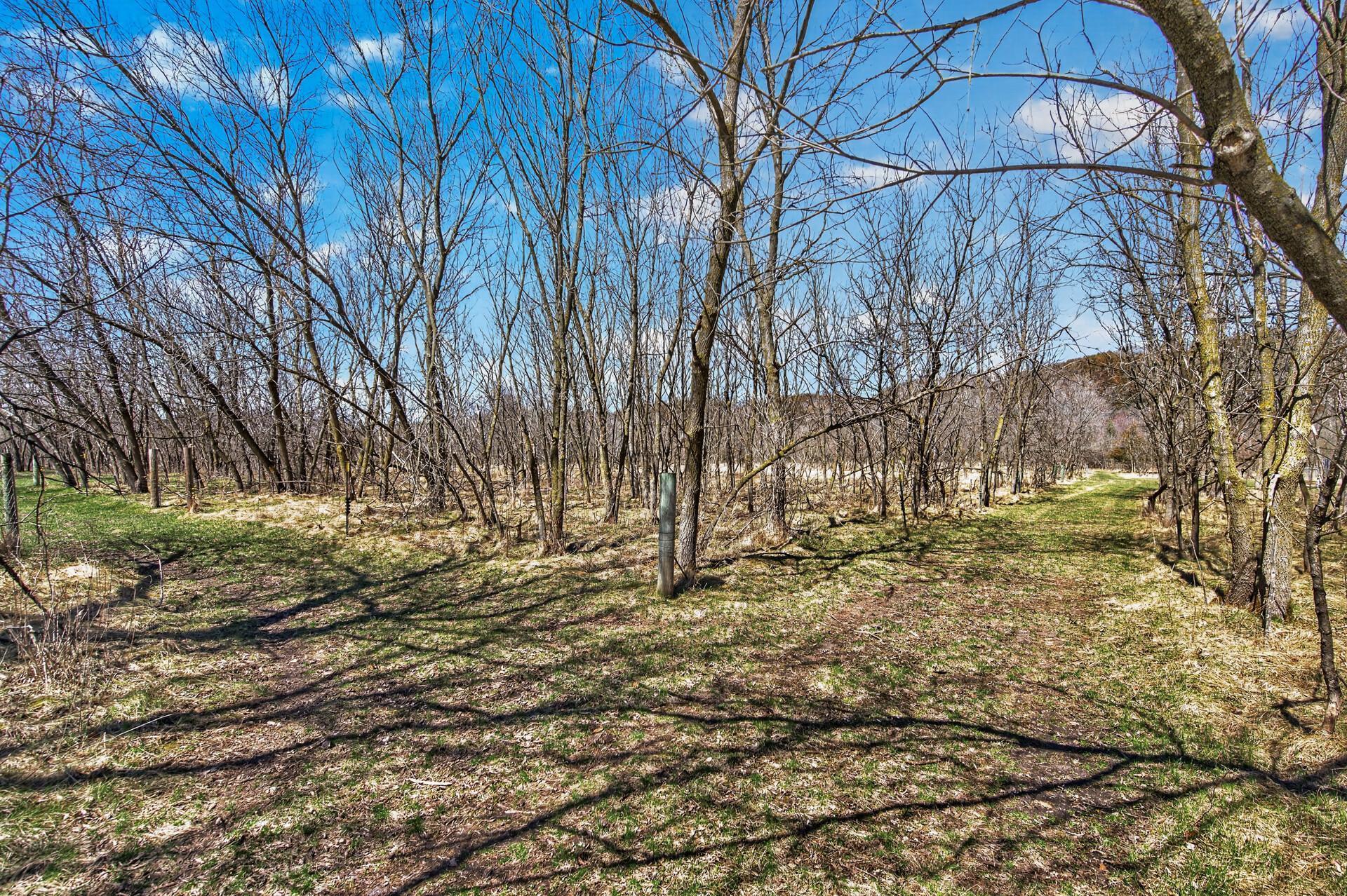 12484 Sunset Trail Welch, MN 55089 - Photo 40 of 48