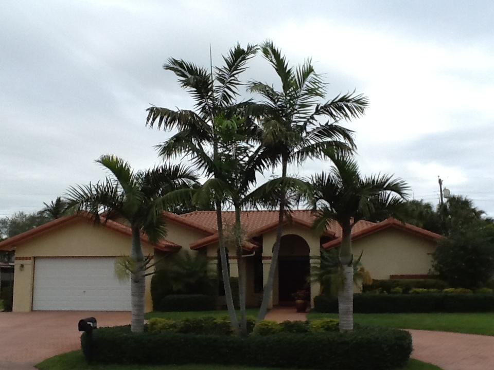 Front of house