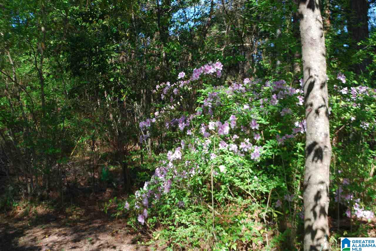 2240 Jacobs Road Birmingham, AL 35216 - Photo 19 of 20