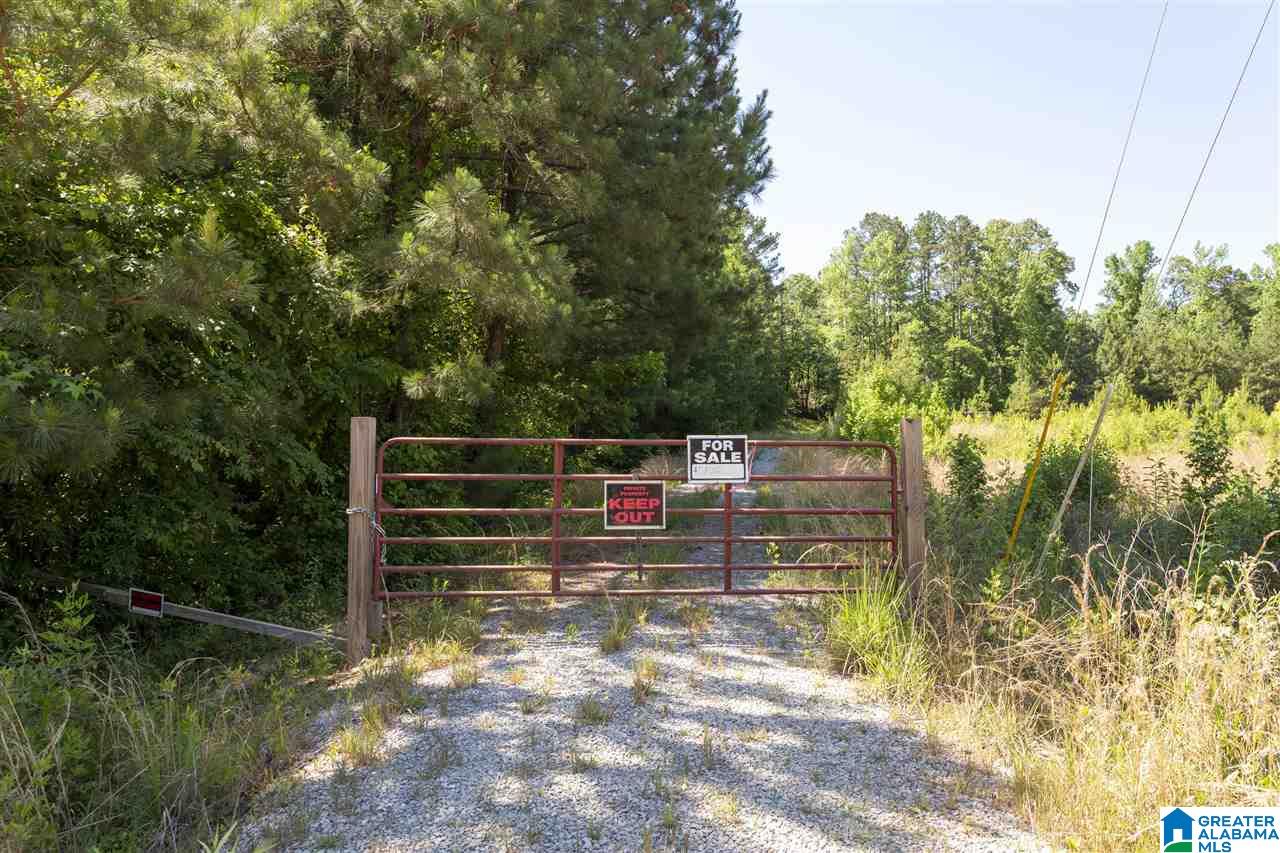 948 Old Deer Creek Road Sterrett, AL 35147 - Photo 2 of 19