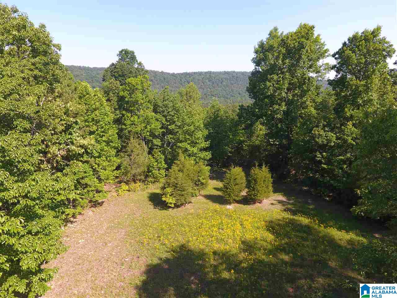 Sunhill Lane, Unit 14 Oneonta, AL 35121 - Photo 1 of 27