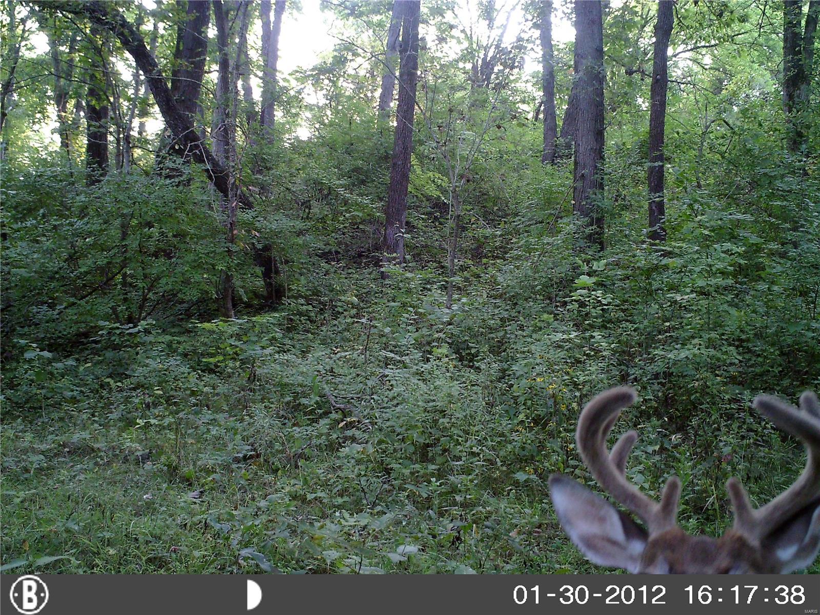 0 Po Carrollton, IL 62016 - Photo 15 of 30