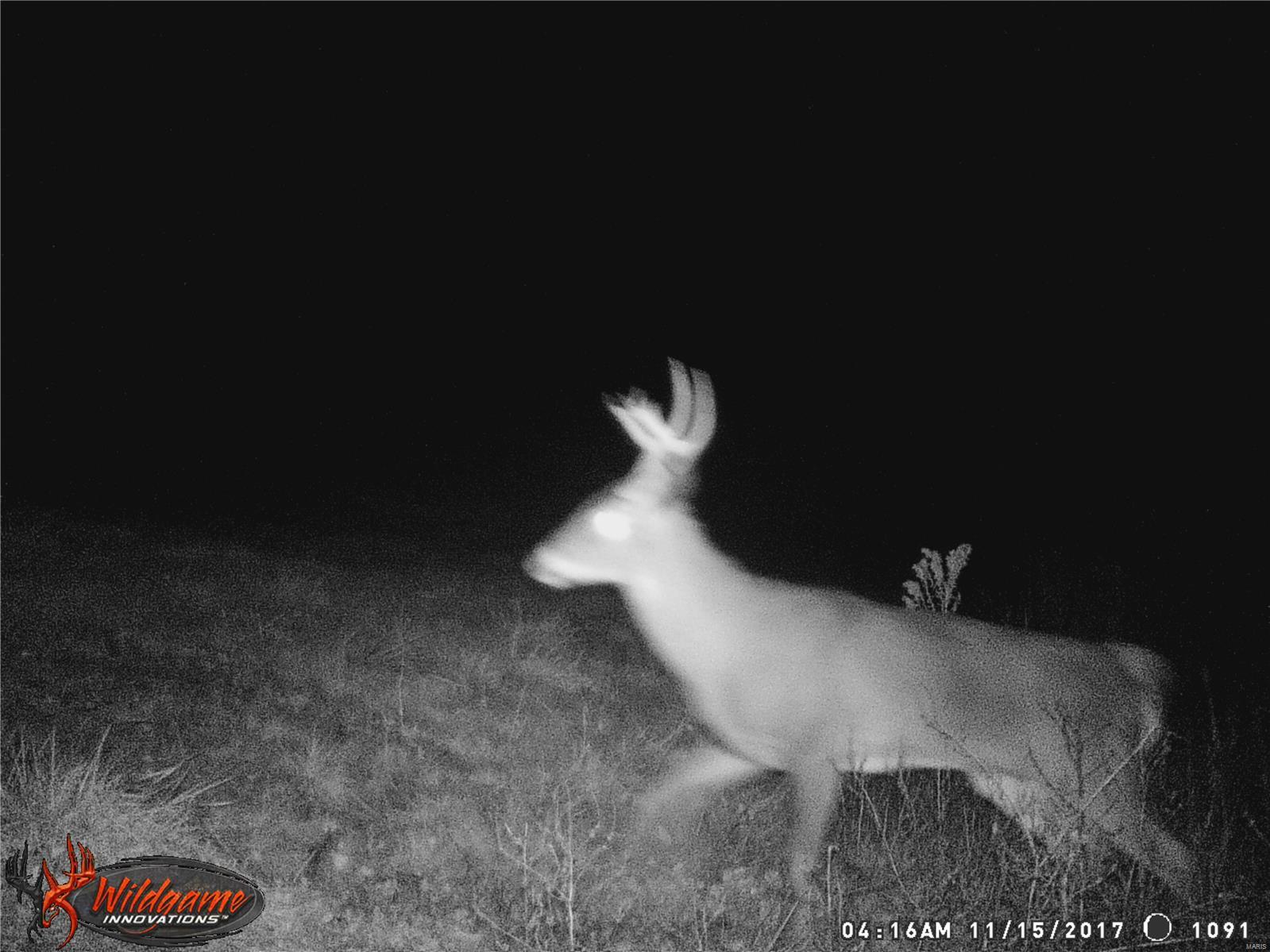 0 Po Carrollton, IL 62016 - Photo 18 of 30