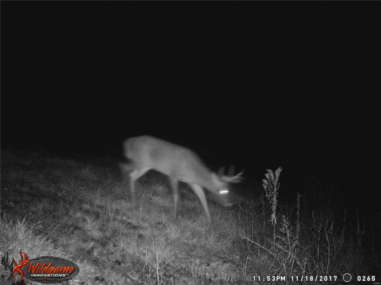 0 Po Carrollton, IL 62016 - Photo 19 of 30