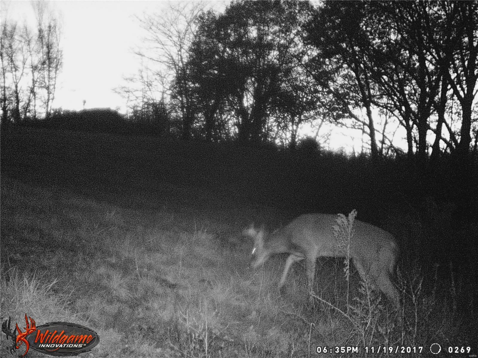 0 Po Carrollton, IL 62016 - Photo 20 of 30
