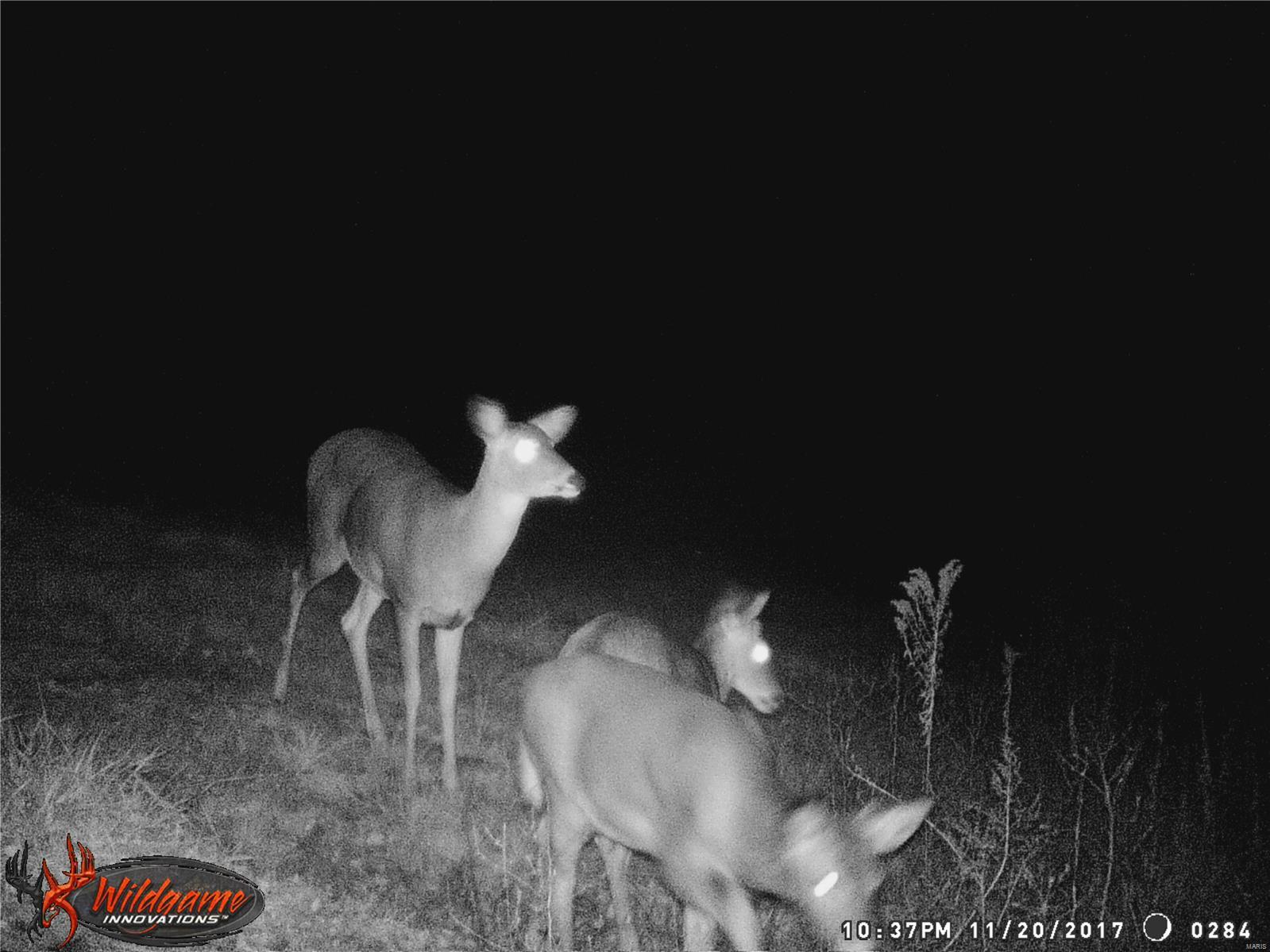 0 Po Carrollton, IL 62016 - Photo 21 of 30