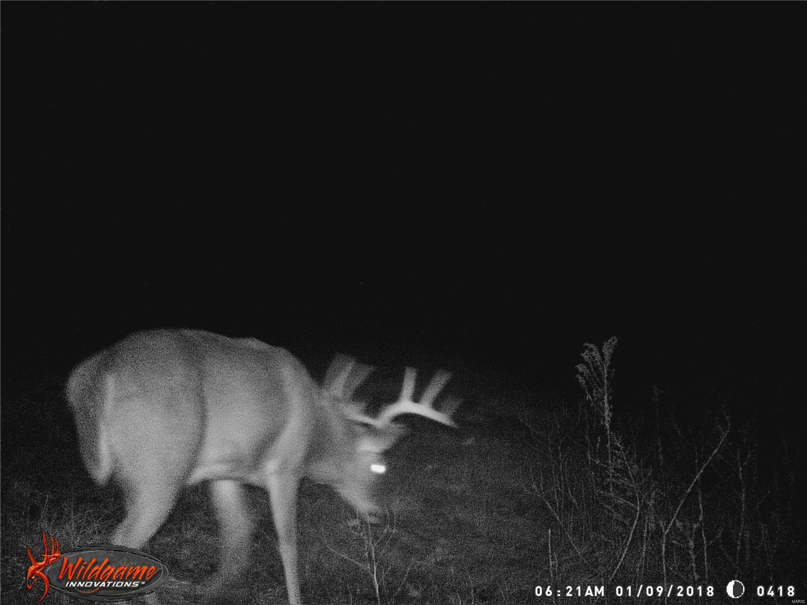 0 Po Carrollton, IL 62016 - Photo 22 of 30