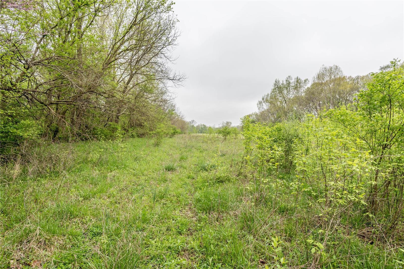 0 Po Carrollton, IL 62016 - Photo 8 of 30