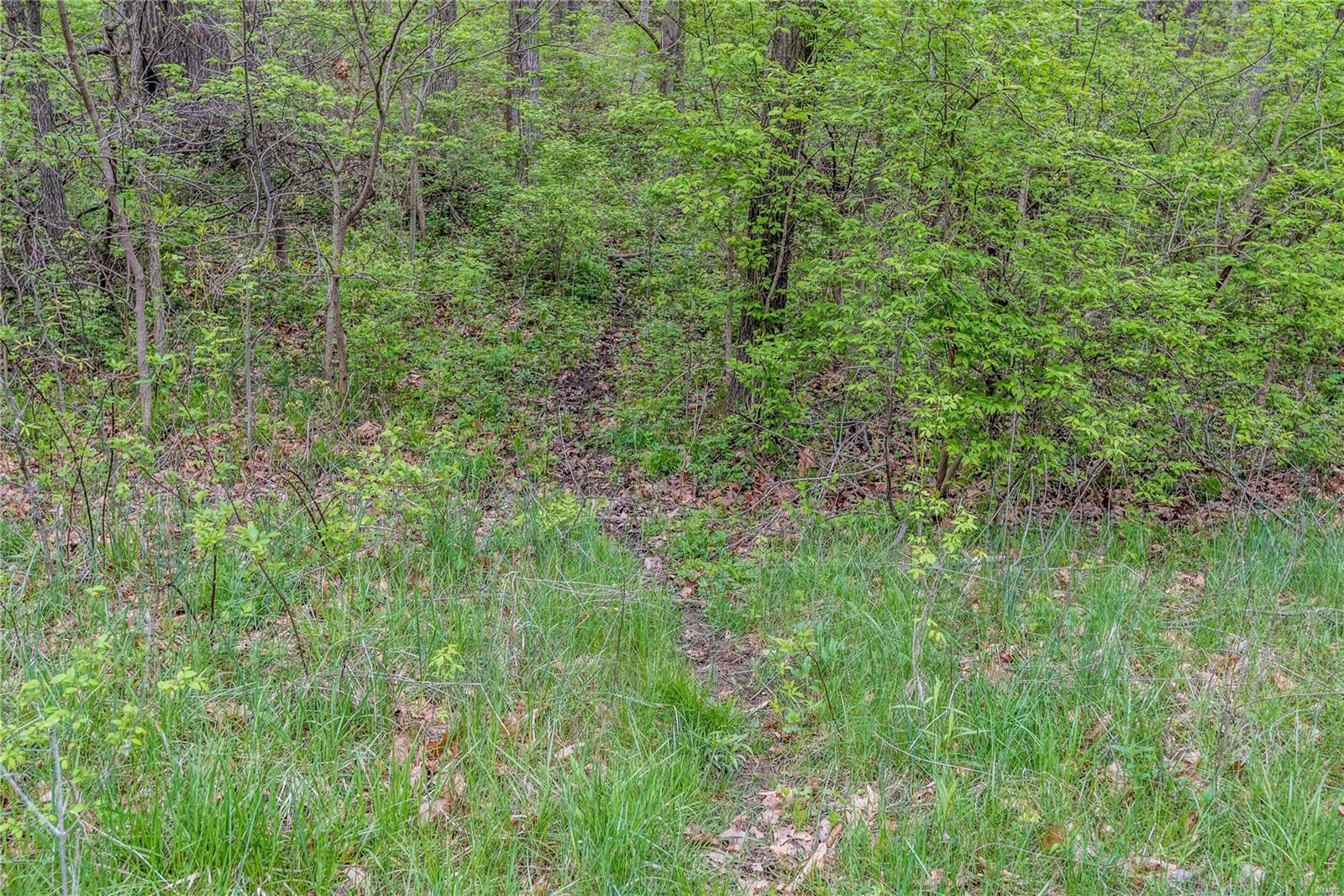 0 Po Carrollton, IL 62016 - Photo 10 of 30