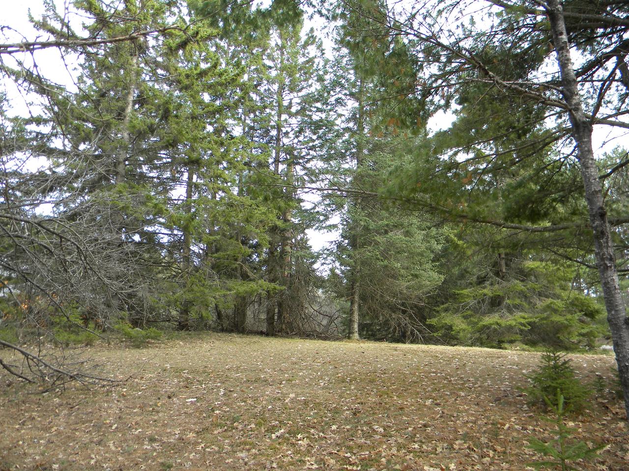 On Fawn Lake Road Hazelhurst, WI 54531 - Photo 4 of 12 Gallery Image 4