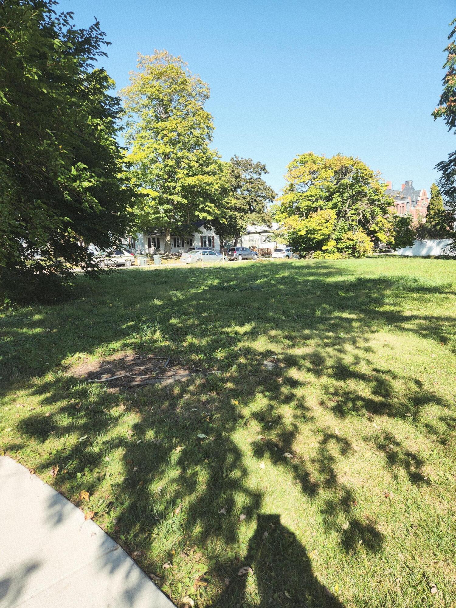 8 Wayne Street Valparaiso, IN 46385 - Photo 2 of 11 a view of a yard with a tree