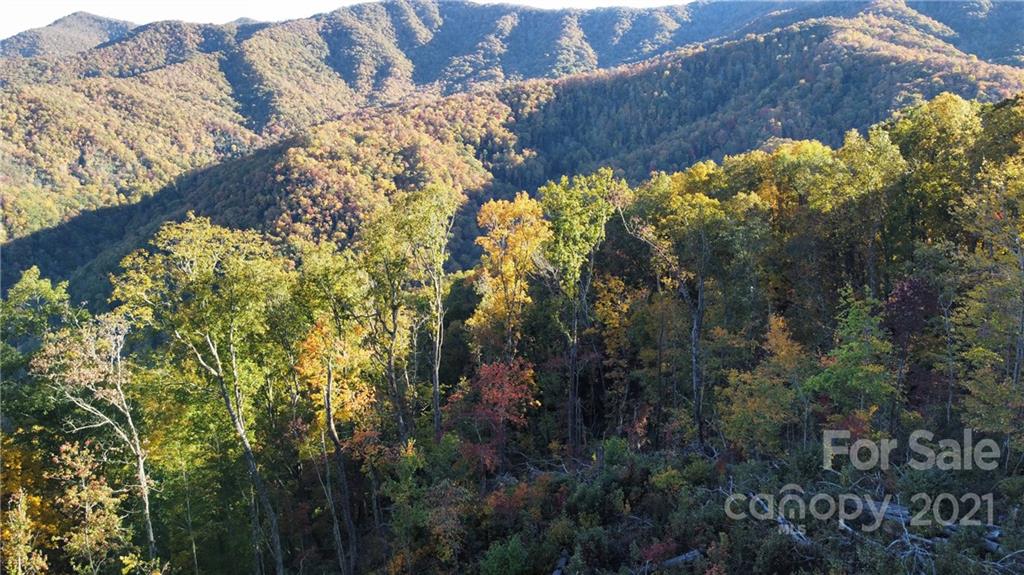 0 Wildwood Road, Unit 2 Whittier, NC 28789 - Photo 12 of 15