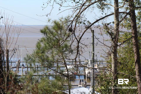 6338 D'Olive Court Daphne, AL 36526 - Photo 23 of 34