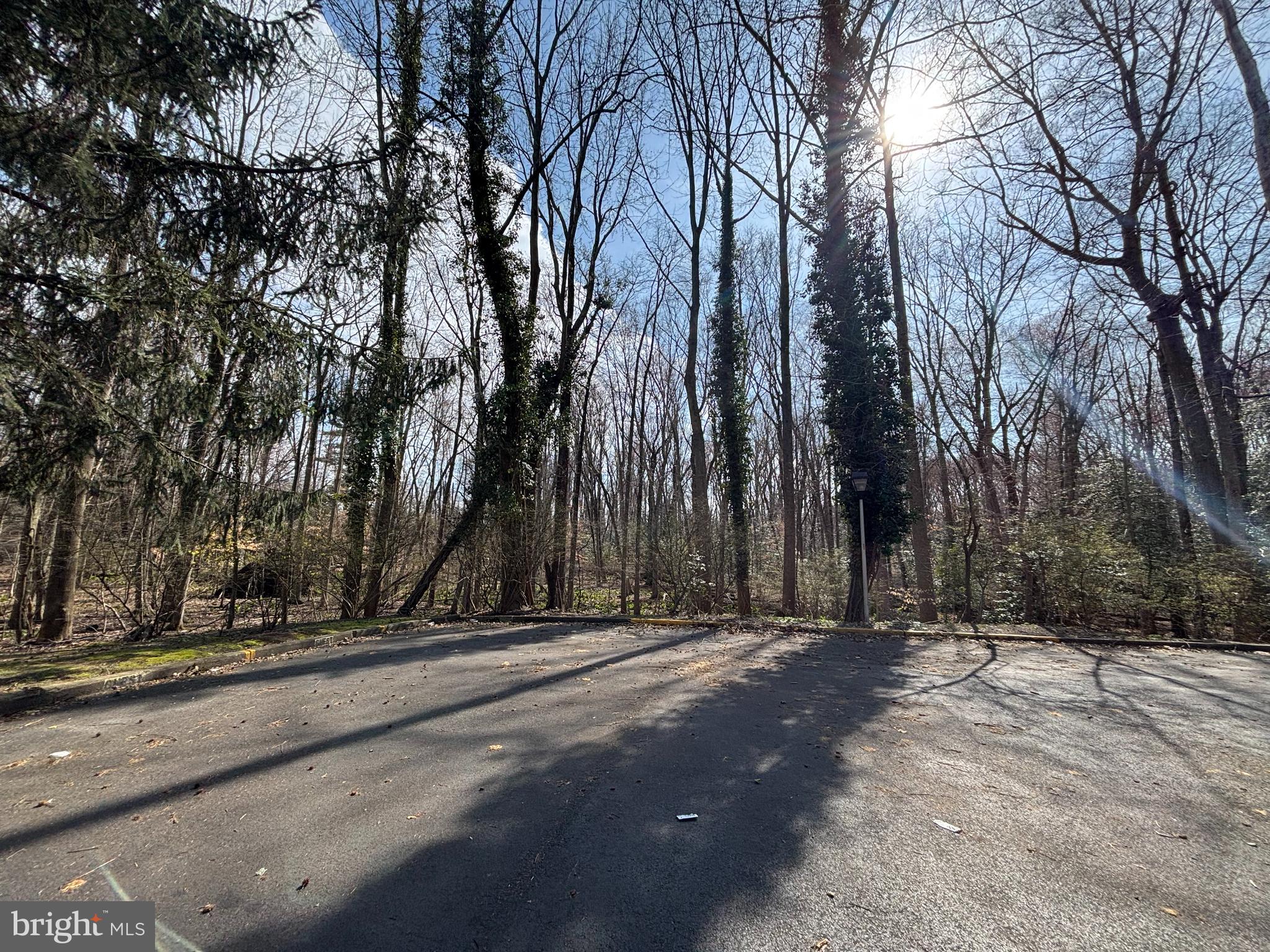 35 Harwood Lane Clementon, NJ 08021 - Photo 24 of 24 a view of a park with trees