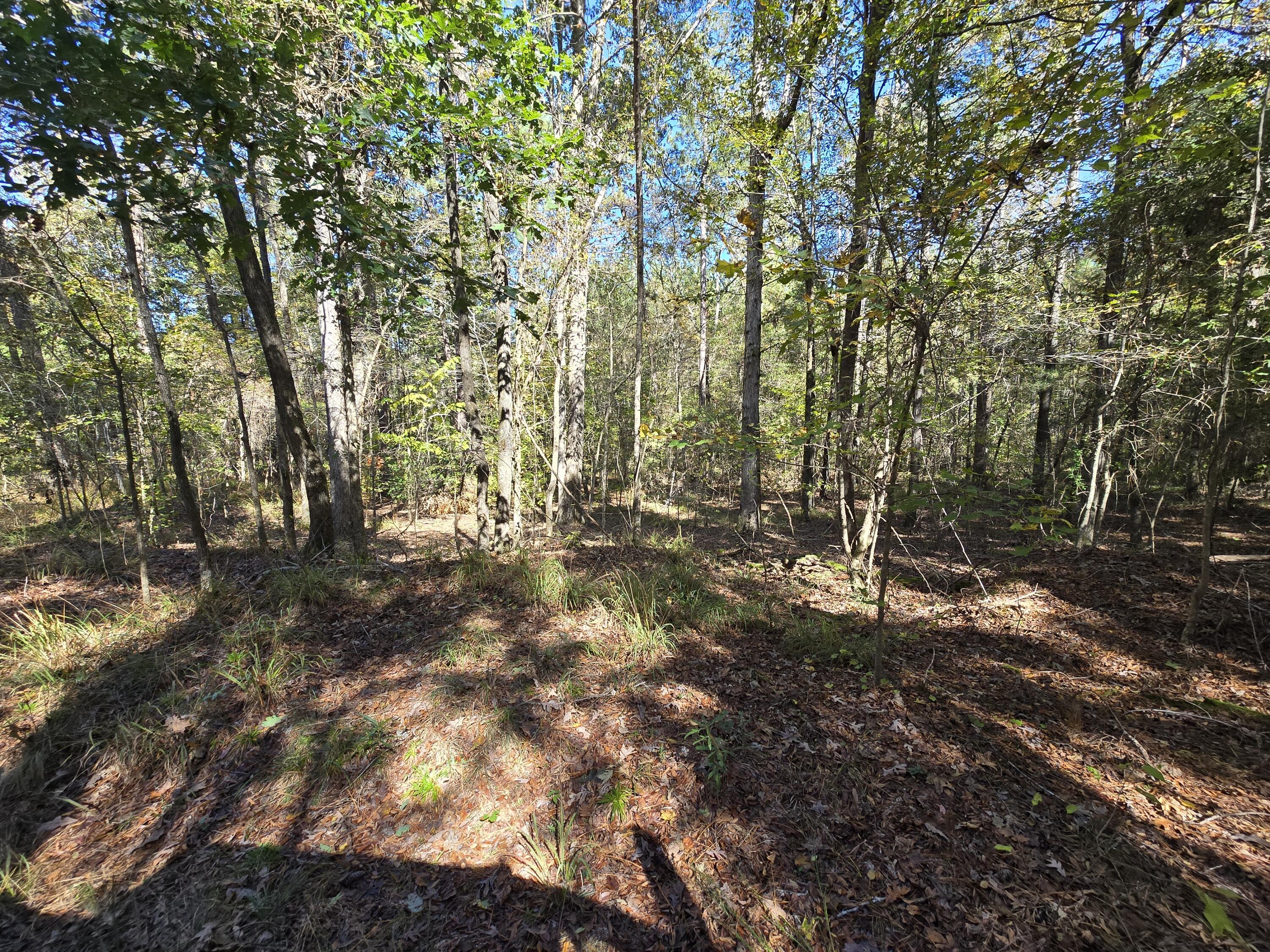 7501 Rainey Morris Road Appling, GA 30802 - Photo 31 of 47 20251031_133631