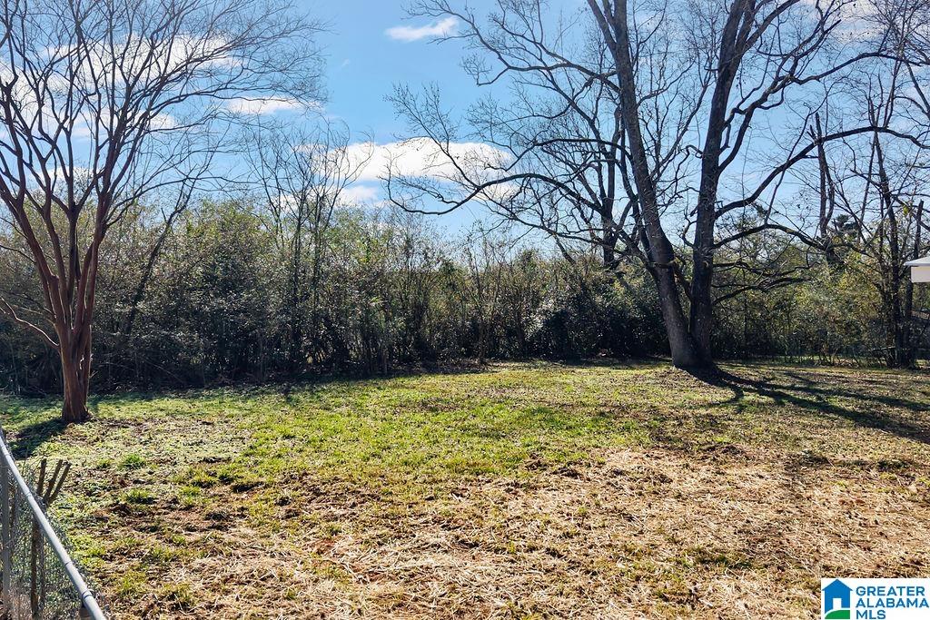 117 Mooney Road Columbiana, AL 35051 - Photo 48 of 56