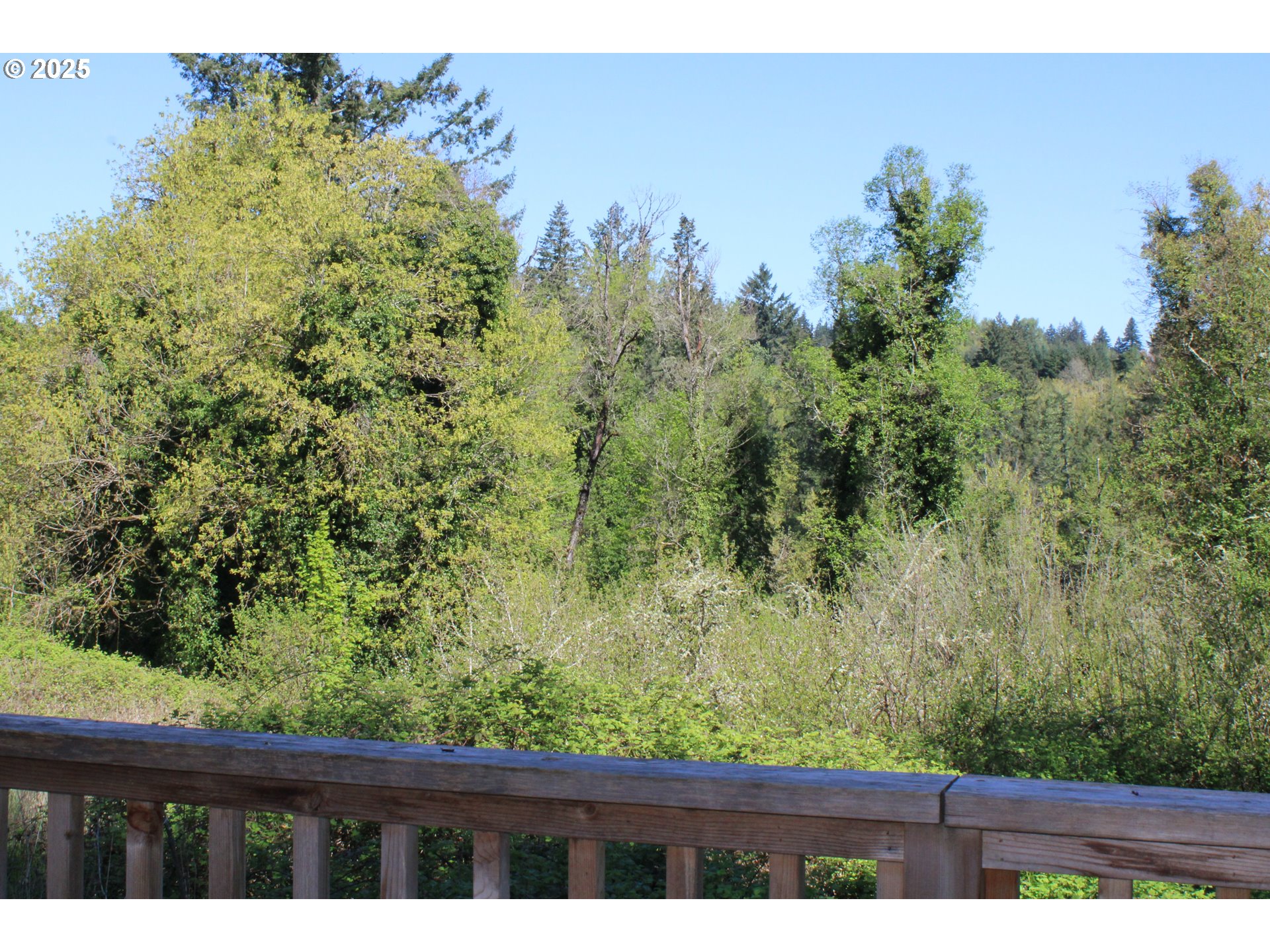 10285 South New Era Road Canby, OR 97013 - Photo 19 of 22 a view of a yard
