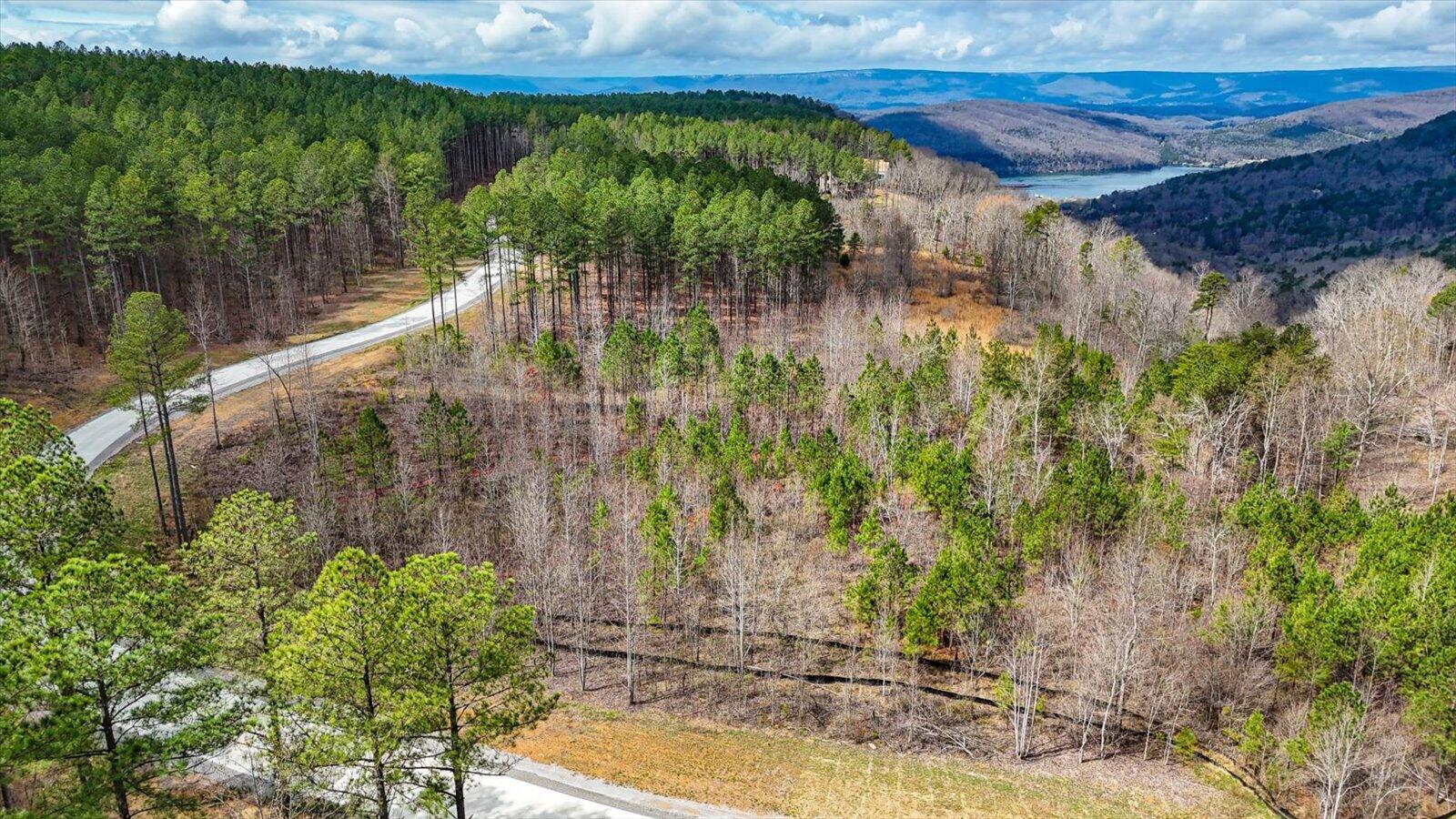 0 Birds Eye Way, Unit LOT 1065 Guild, TN 37340 - Photo 10 of 29 04-Birds Eye Way #1065-4