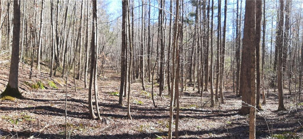 11953 Henderson Mountain Road Fairmount, GA 30139 - Photo 25 of 46 Gallery Image 25