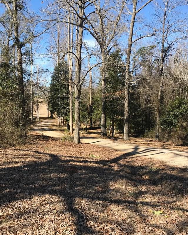 Lot 1 Holiness Church Road Wagener, SC 29164 - Photo 7 of 22