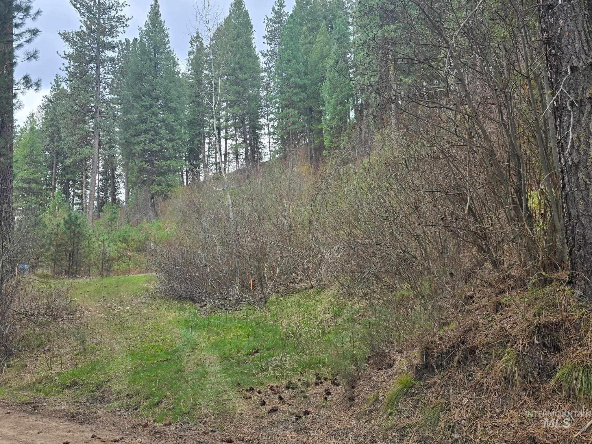 39 Beaver Creek Road Boise, ID 83716 - Photo 3 of 10