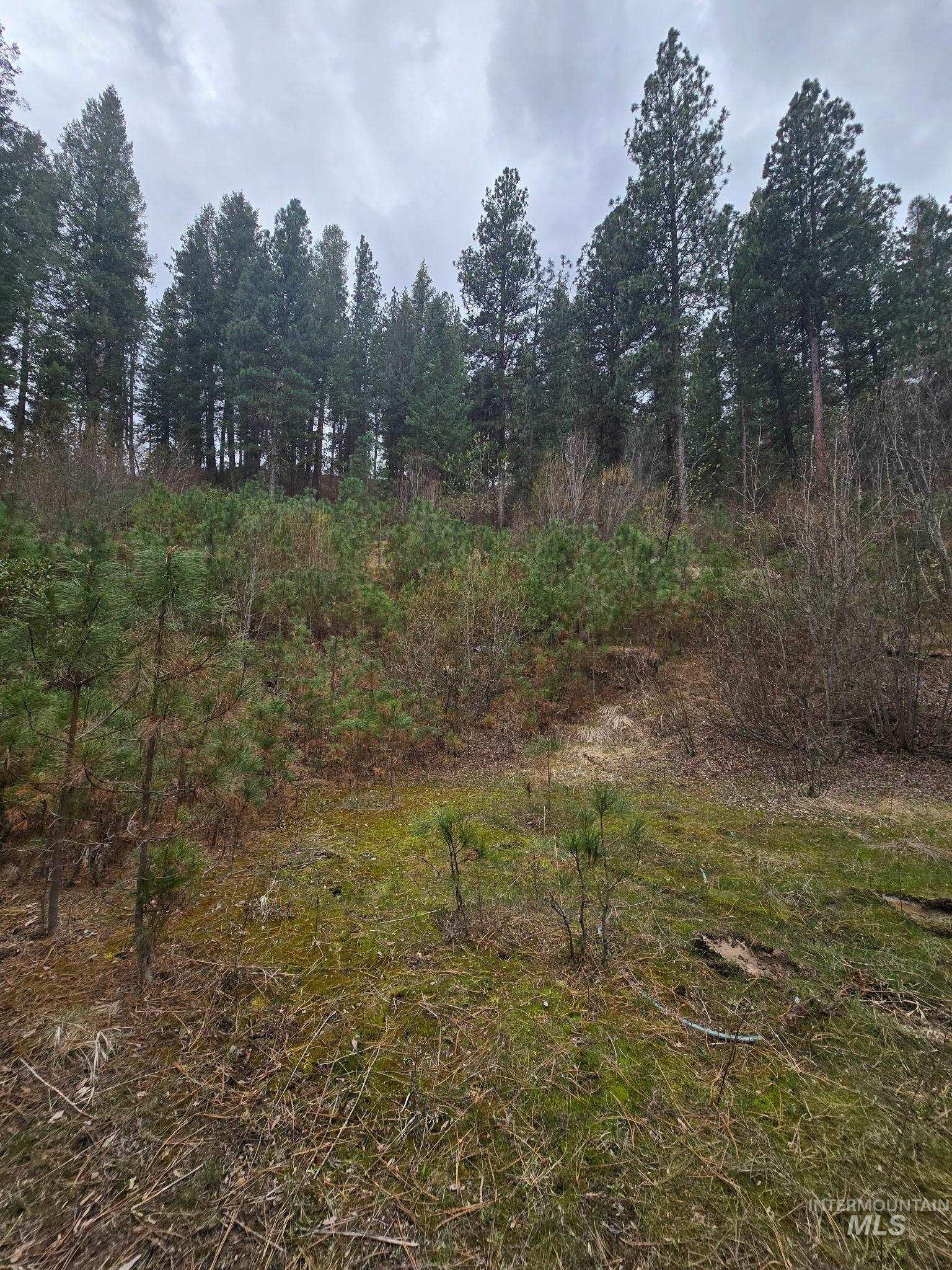 39 Beaver Creek Road Boise, ID 83716 - Photo 5 of 10