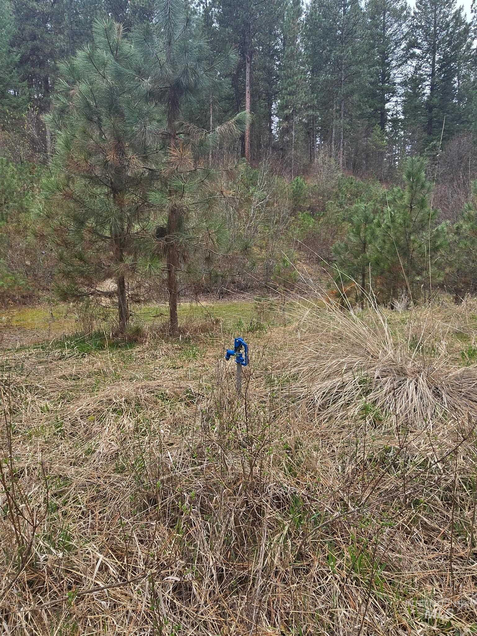 39 Beaver Creek Road Boise, ID 83716 - Photo 6 of 10