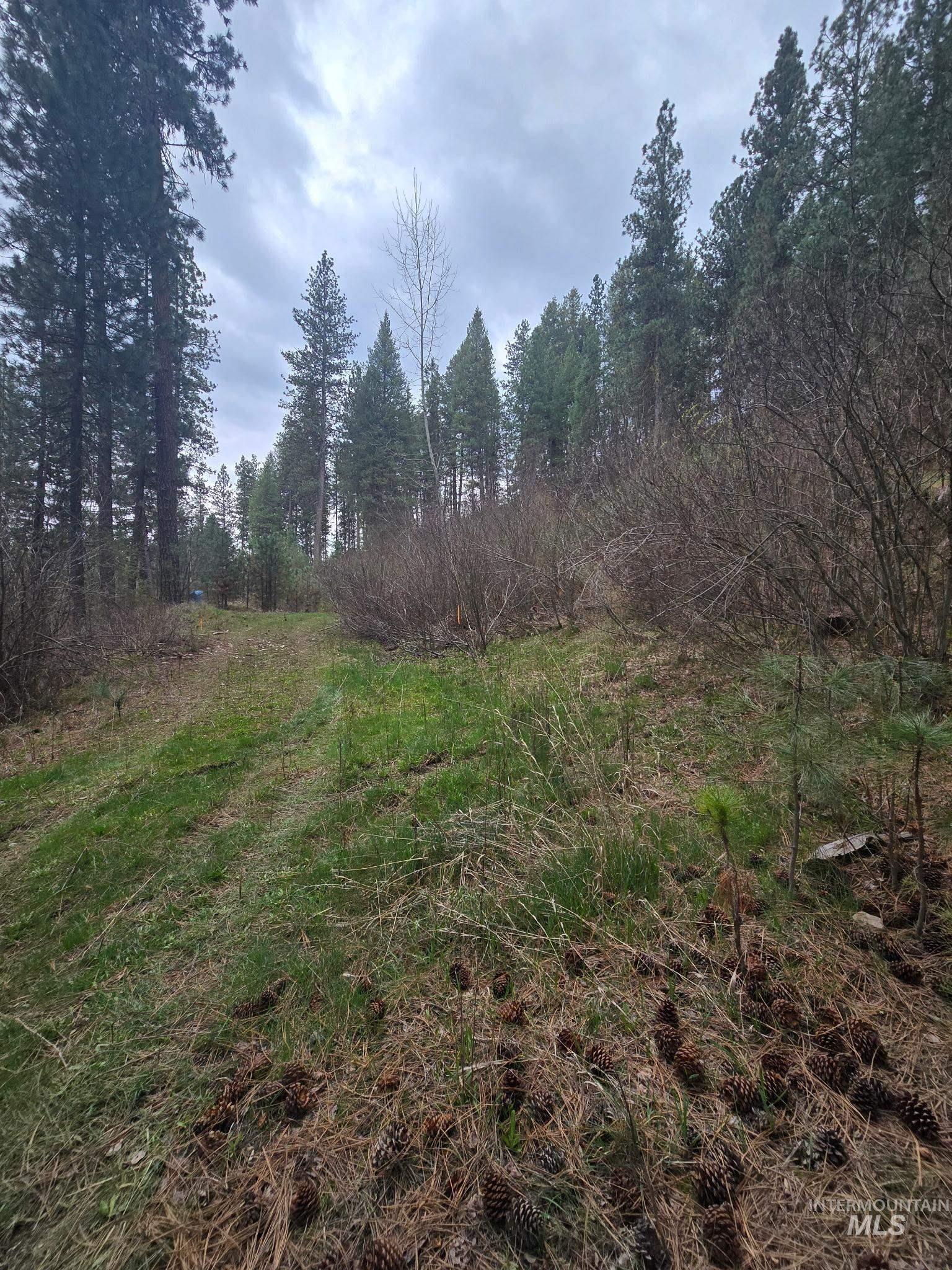 39 Beaver Creek Road Boise, ID 83716 - Photo 9 of 10