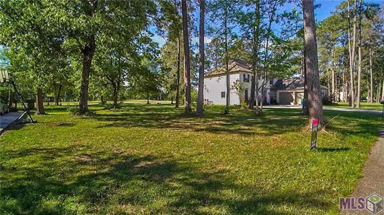 30862 Carter Cemetery Road Springfield, LA 70462 - Photo 1 of 8