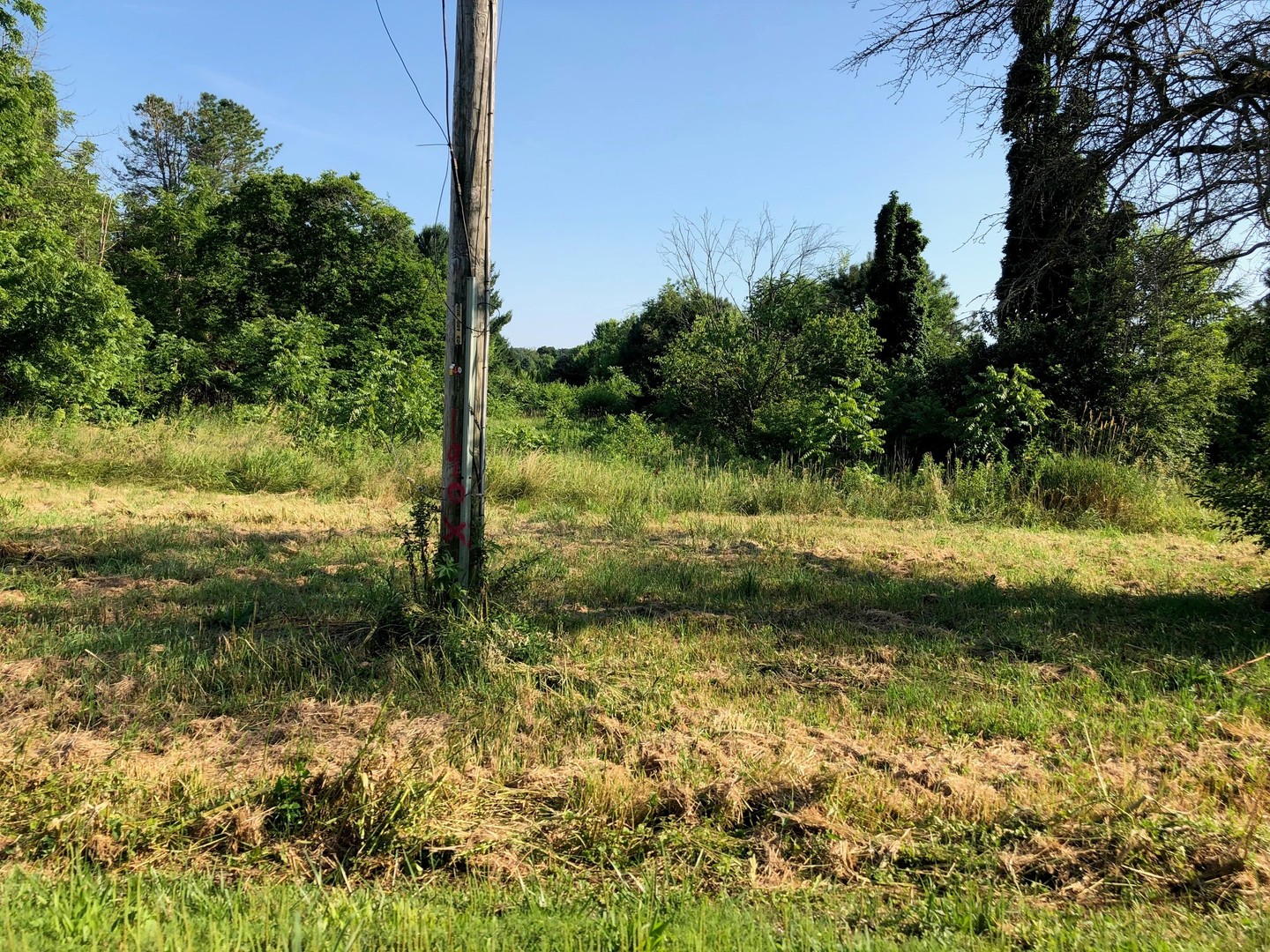 0 Rt 251 South Tonica, IL 61370 - Photo 4 of 12 a view of a yard with a tree
