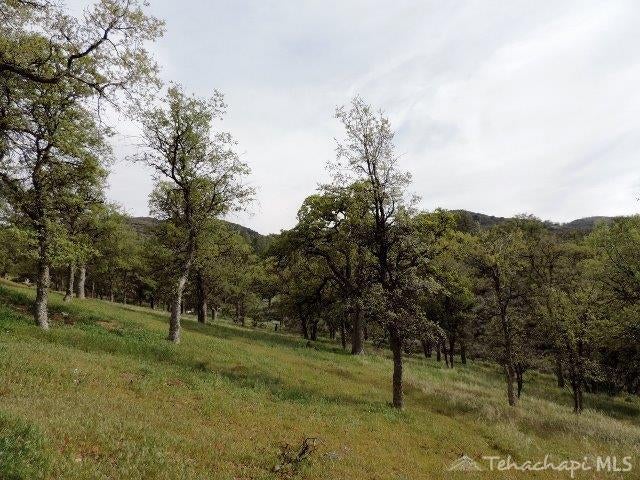 0 Rice Drive Tehachapi, CA 93561 - Photo 15 of 16 Gallery Image 15