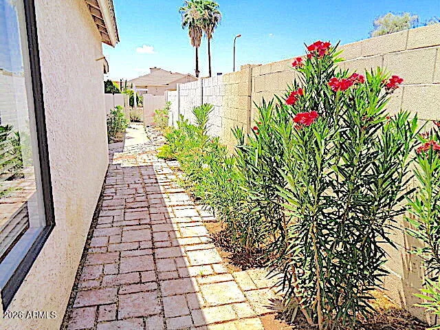 a picture of flowers