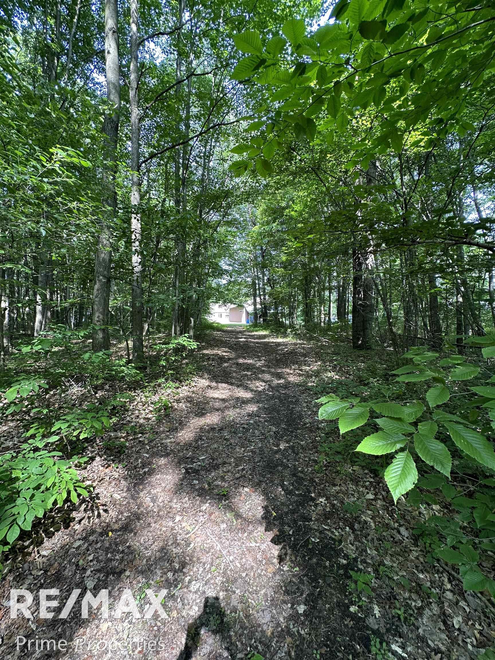 11515 Gera Road Birch Run, MI 48415 - Photo 87 of 96 50112851-88.JPG
