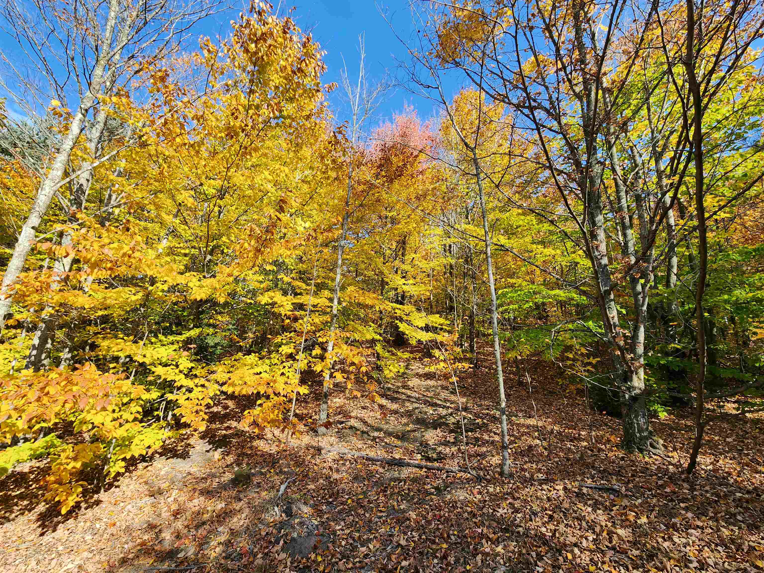 6546 6 Mile Road Benzonia, MI 49616 - Photo 3 of 12 1928330-eea551d4-2628-4584-8f63-db56a70d22e7.JPG