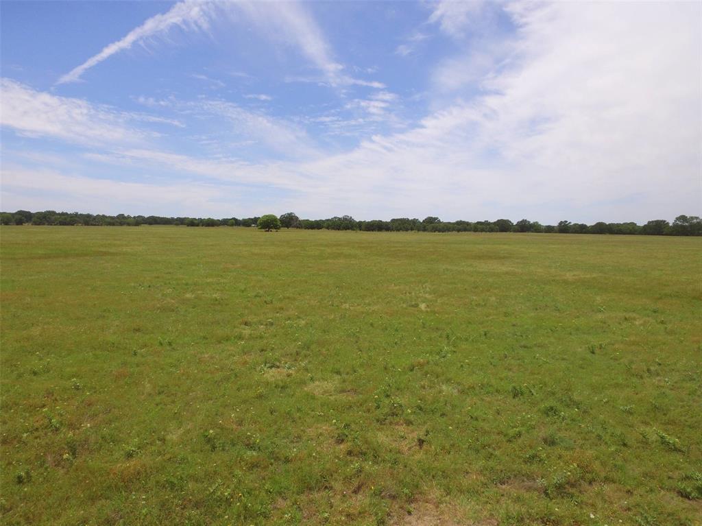 0 Fm Road Scurry, TX 75158 - Photo 7 of 11