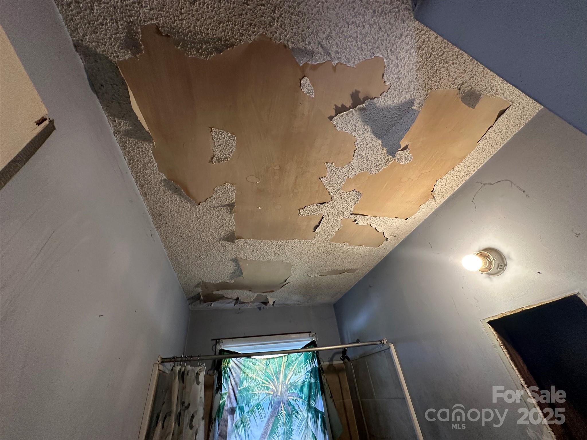 3989 Virgilina Road Roxboro, NC 27574 - Photo 22 of 46