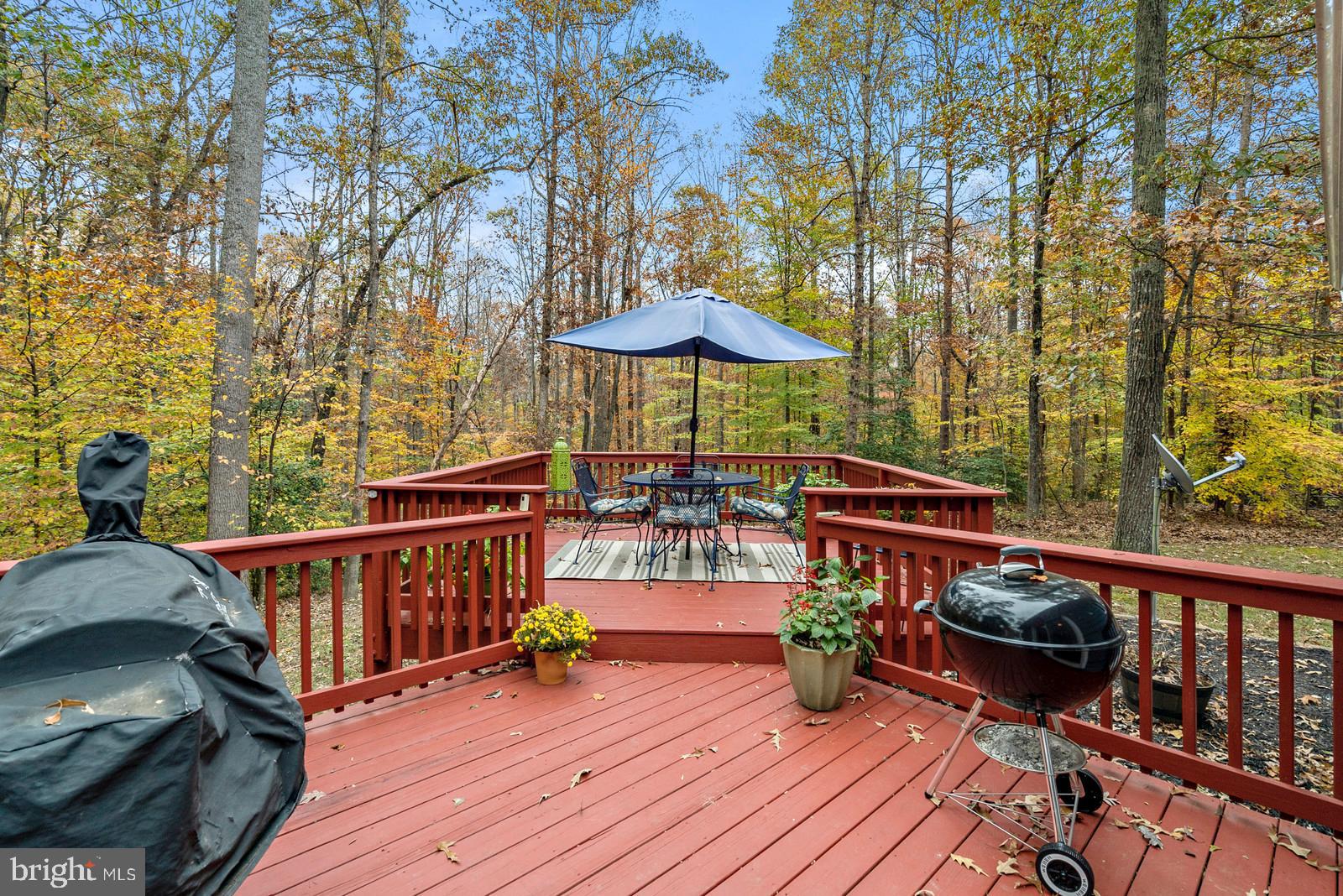 3109 Colvin Road Amissville, VA 20106 - Photo 21 of 28 deck